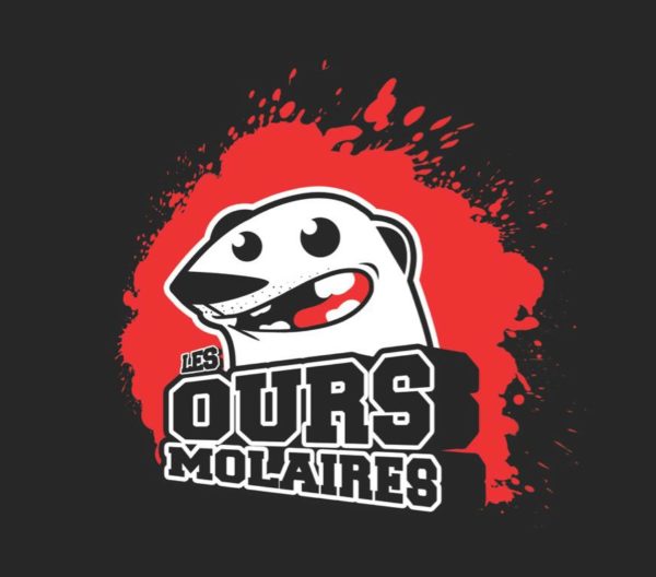 Les ours molaires